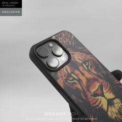Alternative view of Lion The king of Jungle